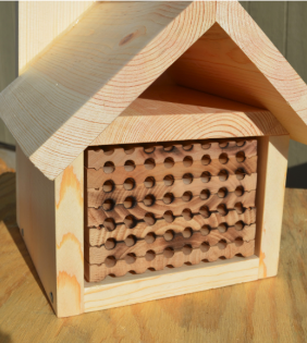 mason bee house